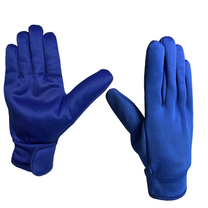 YD001 Ski gloves